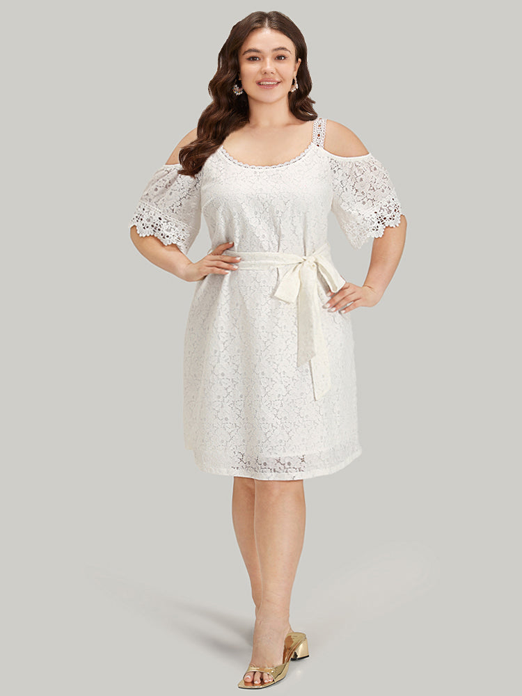 Lace Panel Belted Cold Shoulder Flutter Sleeve Dress