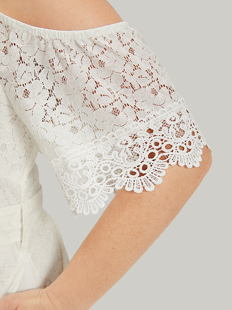 Lace Panel Belted Cold Shoulder Flutter Sleeve Dress