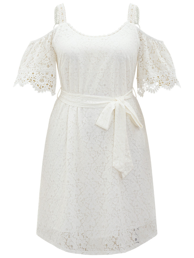 Lace Panel Belted Cold Shoulder Flutter Sleeve Dress