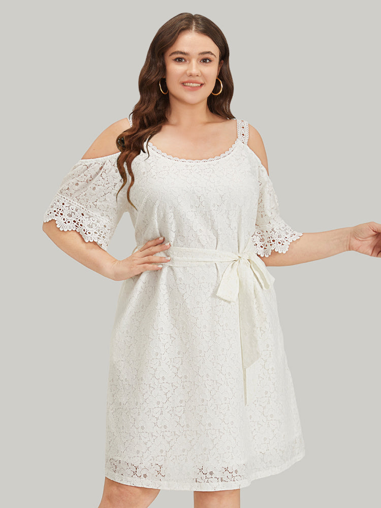 Lace Panel Belted Cold Shoulder Flutter Sleeve Dress